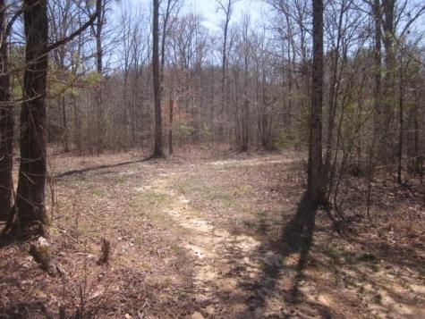 0000 Highway 136- 11.31 Acres W Talking Rock GA 30175