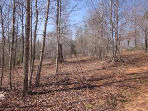 0000 Highway 136- 11.31 Acres W Talking Rock GA 30175
