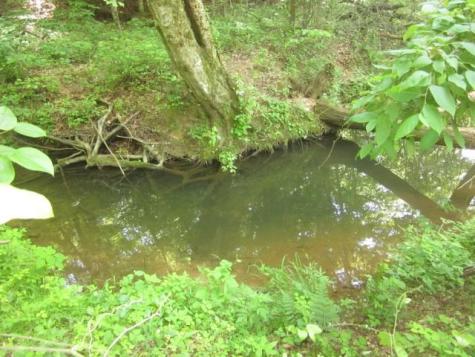 0000 Highway 136- 11.31 Acres W Talking Rock GA 30175