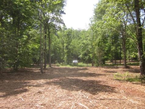 0000 Highway 136- 11.31 Acres W Talking Rock GA 30175