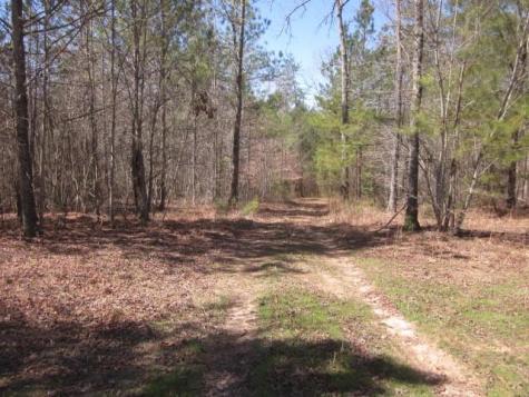 0000 Highway 136- 11.31 Acres W Talking Rock GA 30175