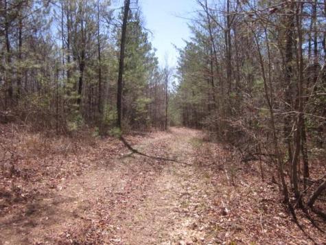 0000 Highway 136- 11.31 Acres W Talking Rock GA 30175