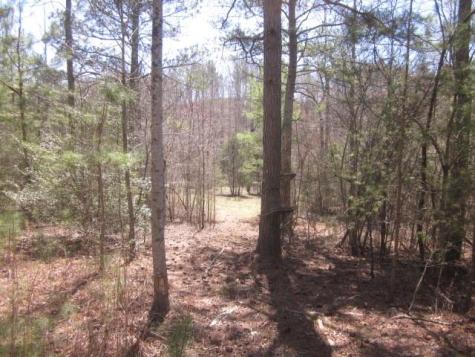 0000 Highway 136- 11.31 Acres W Talking Rock GA 30175