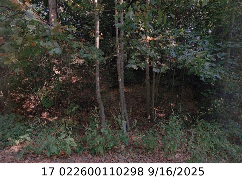 X Newman Place Atlanta GA 30318