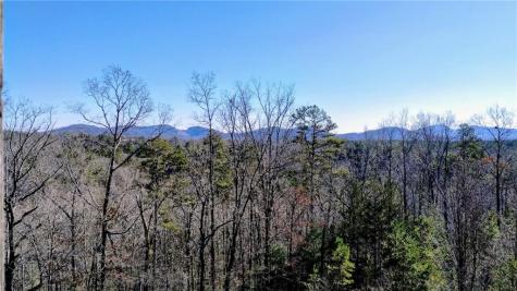 0 Martin Drive Cleveland GA 30528
