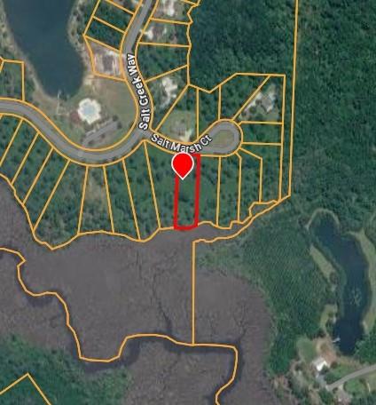 26 Salt Marsh Court Brunswick GA 31523