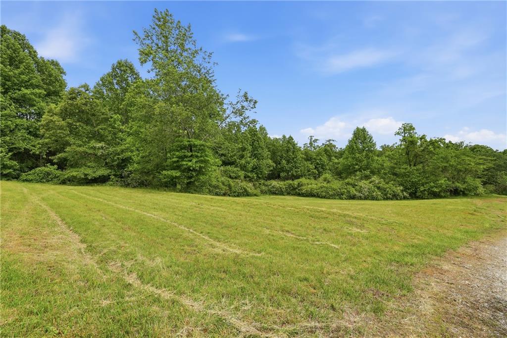 2558 Stonepile Road Clarkesville GA 30523