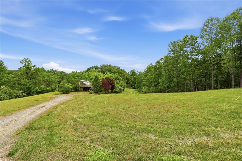 2558 Stonepile Road Clarkesville GA 30523