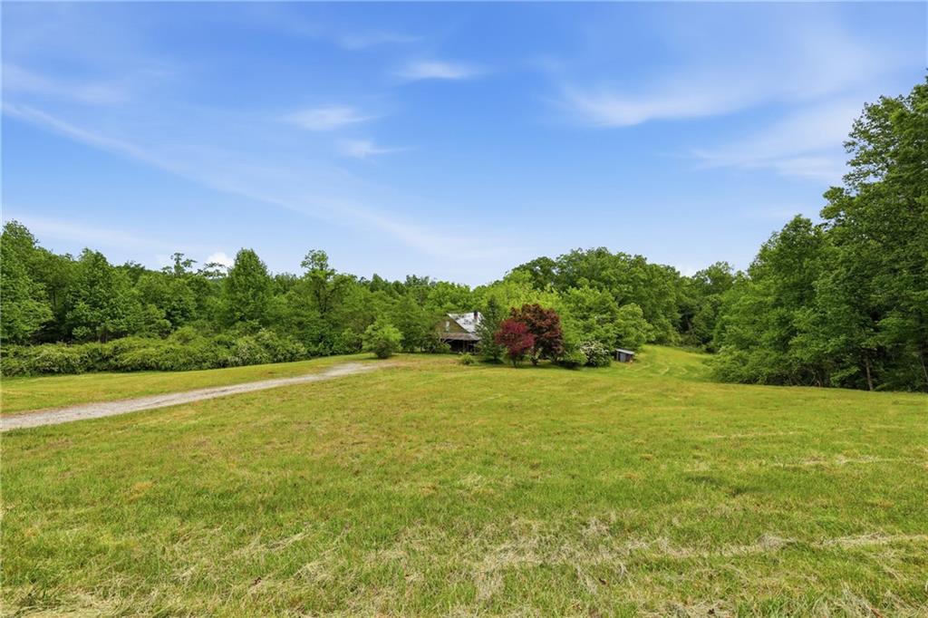 2558 Stonepile Road Clarkesville GA 30523