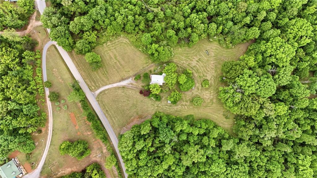 2558 Stonepile Road Clarkesville GA 30523