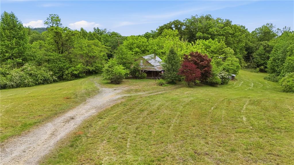 2558 Stonepile Road Clarkesville GA 30523