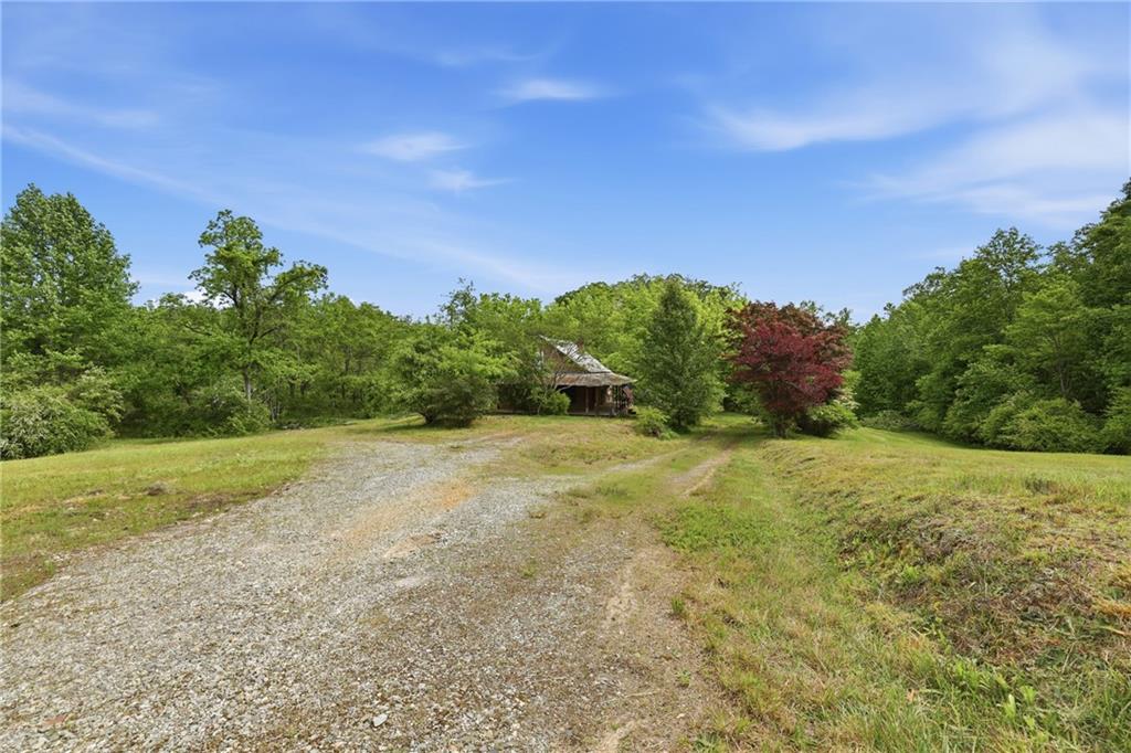 2558 Stonepile Road Clarkesville GA 30523