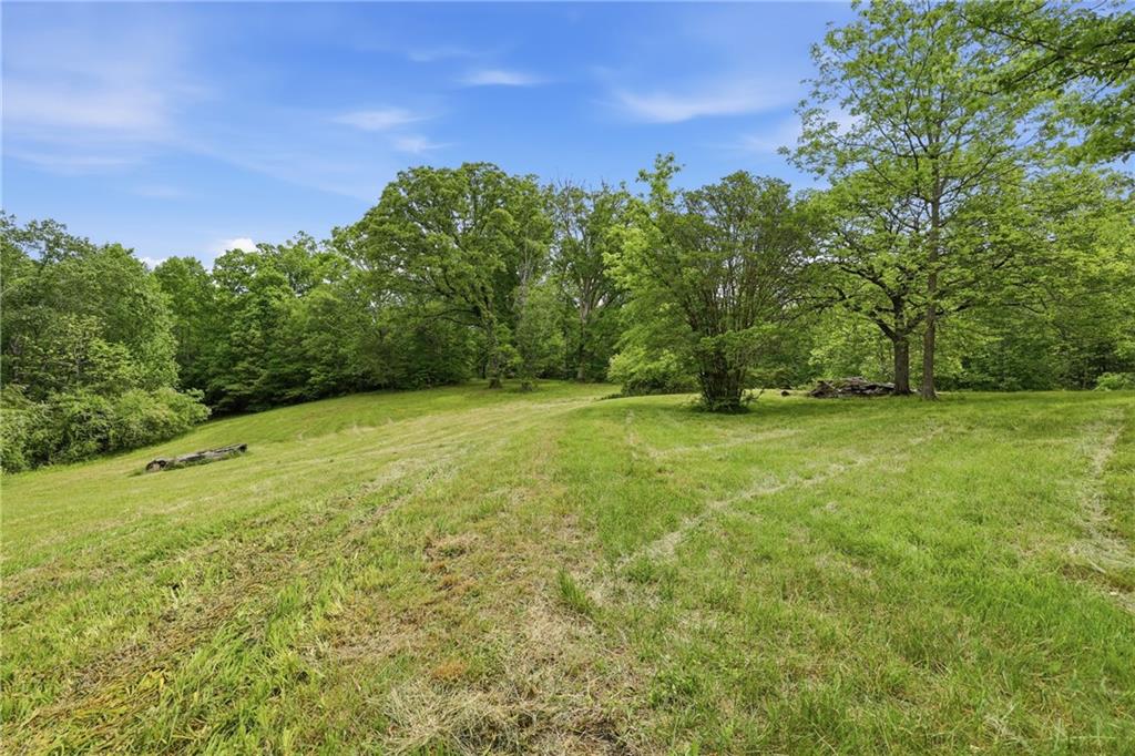 2558 Stonepile Road Clarkesville GA 30523