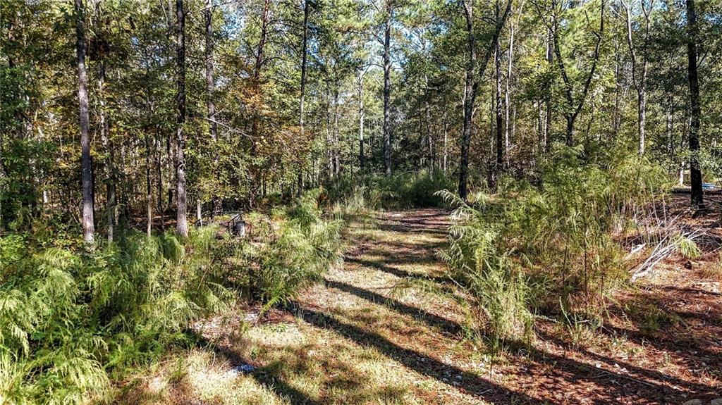 1135 Overlook Trail Acworth GA 30101
