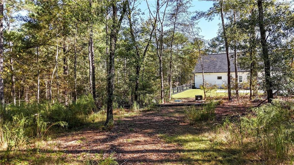 1135 Overlook Trail Acworth GA 30101