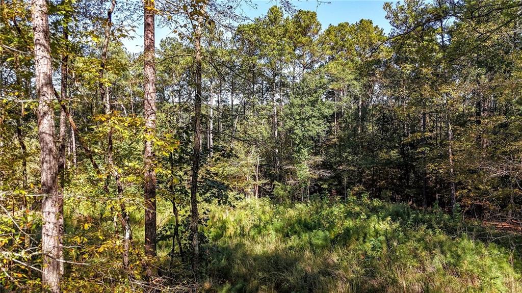 1135 Overlook Trail Acworth GA 30101