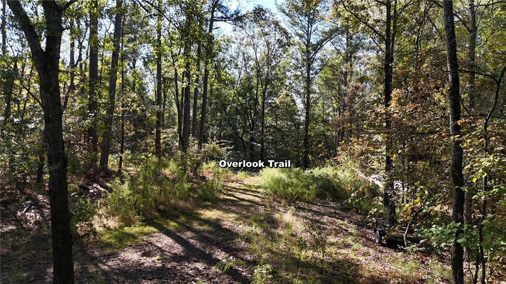 1135 Overlook Trail Acworth GA 30101