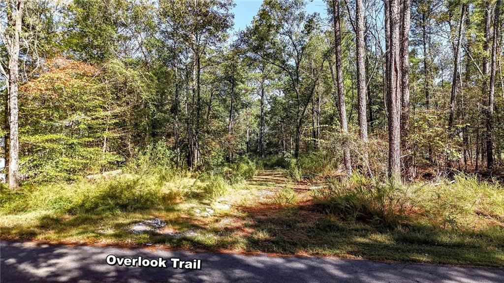 1135 Overlook Trail Acworth GA 30101