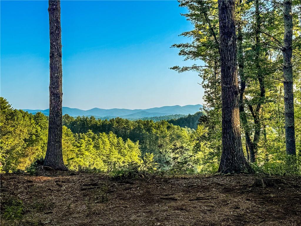 0 River Flow Drive Dahlonega GA 30533