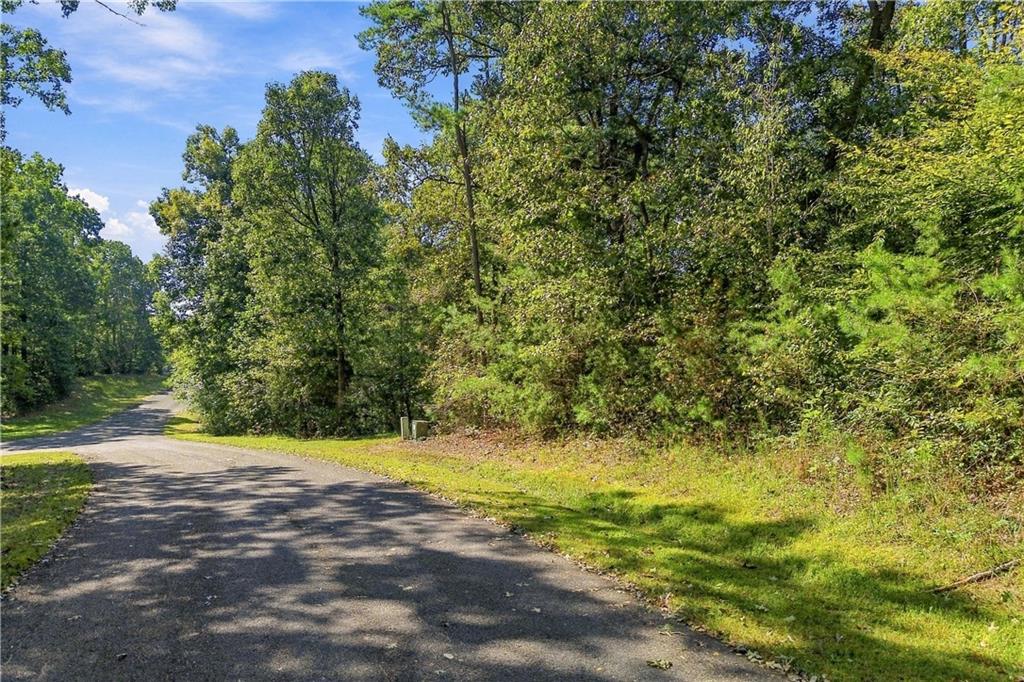 0 Town Creek Road Talking Rock GA 30175