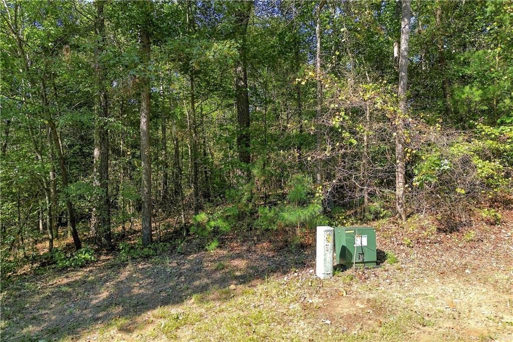 0 Town Creek Road Talking Rock GA 30175