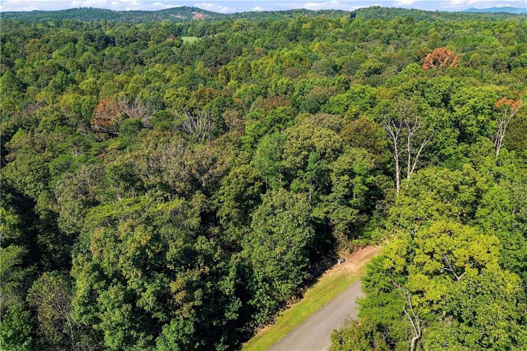 0 Town Creek Road Talking Rock GA 30175