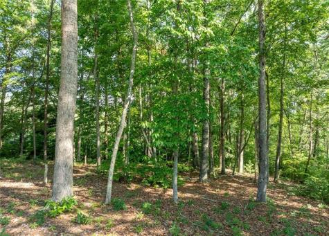 34 Windfield Circle Blue Ridge GA 30513