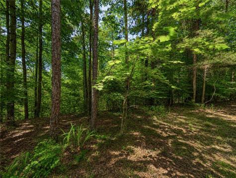 1652 Sable Court Talking Rock GA 30175