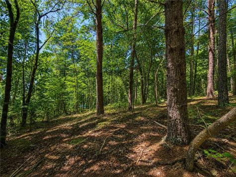 1652 Sable Court Talking Rock GA 30175