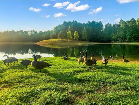 1652 Sable Court Talking Rock GA 30175