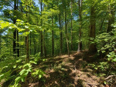 1652 Sable Court Talking Rock GA 30175