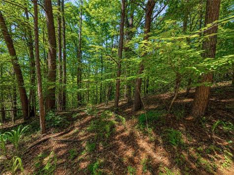1652 Sable Court Talking Rock GA 30175