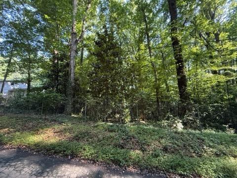 1541 Withmoor Terrace Austell GA 30168
