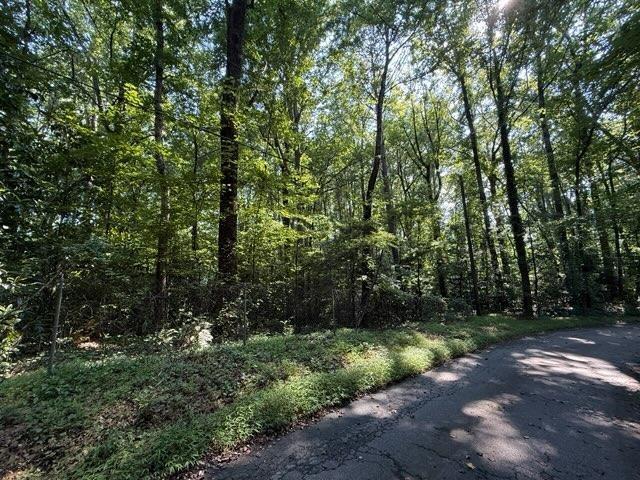 1541 Withmoor Terrace Austell GA 30168