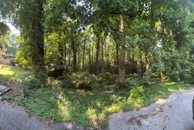 1541 Withmoor Terrace Austell GA 30168