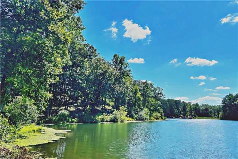 0 Pinnacle Drive Ellijay GA 30540