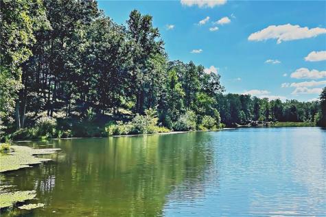 0 Pinnacle Drive Ellijay GA 30540