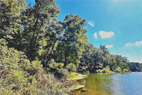 0 Pinnacle Drive Ellijay GA 30540