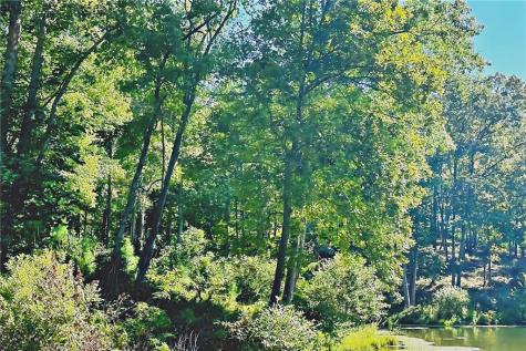0 Pinnacle Drive Ellijay GA 30540