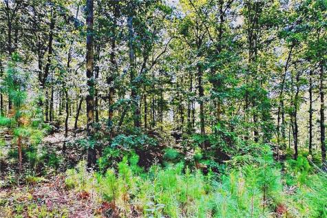 0 Pinnacle Drive Ellijay GA 30540