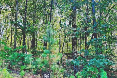 0 Pinnacle Drive Ellijay GA 30540