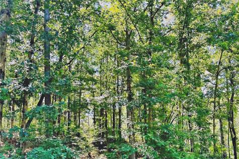 0 Pinnacle Drive Ellijay GA 30540