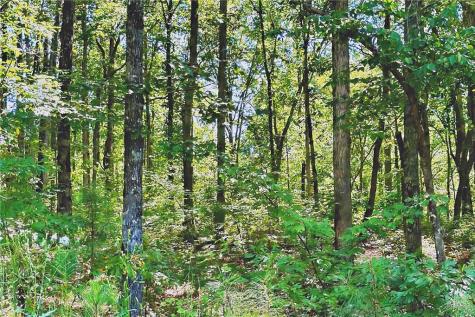 0 Pinnacle Drive Ellijay GA 30540