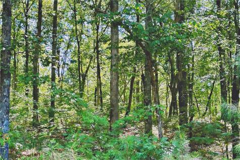 0 Pinnacle Drive Ellijay GA 30540