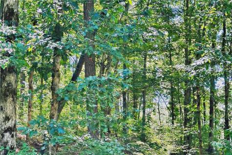 0 Pinnacle Drive Ellijay GA 30540