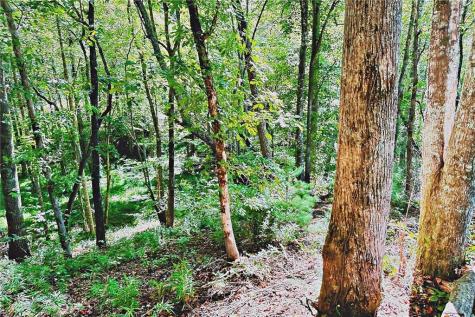 0 Pinnacle Drive Ellijay GA 30540