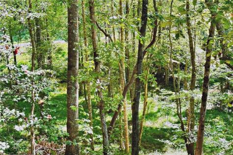 0 Pinnacle Drive Ellijay GA 30540