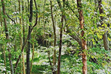 0 Pinnacle Drive Ellijay GA 30540