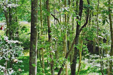 0 Pinnacle Drive Ellijay GA 30540
