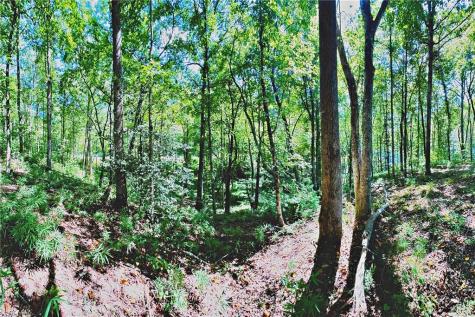 0 Pinnacle Drive Ellijay GA 30540